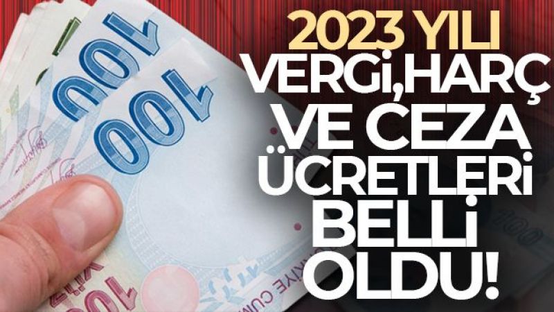 2023 yılı vergi, harç ve ceza ücretleri belli oldu
