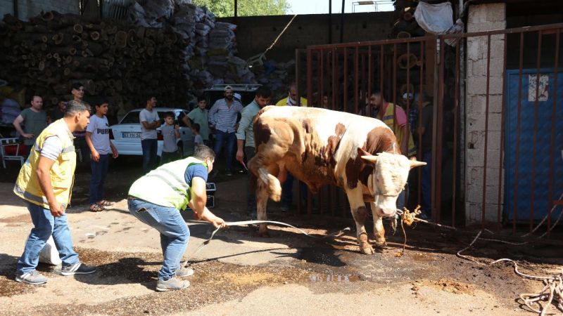 Urfa'da