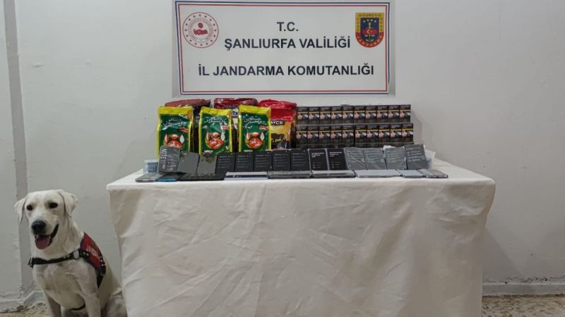Jandarma köpeği kaçakçılığa geçit vermedi
