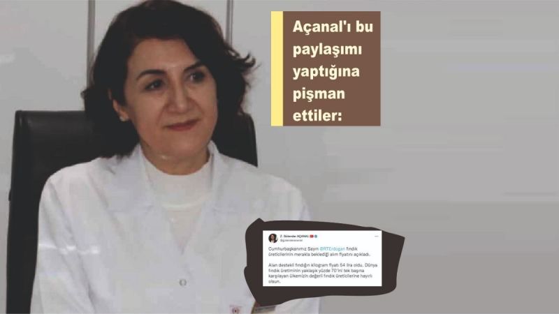 Fıstık şehrinin vekilinden fındık müjdesi!
