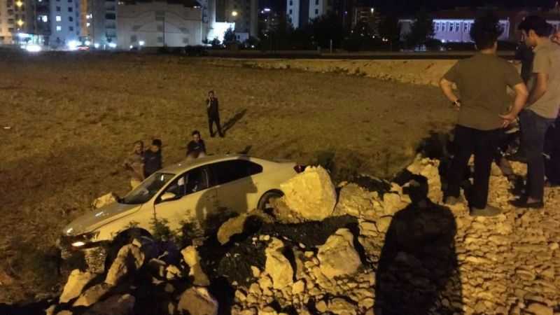 Urfa'da araç şarampole uçtu