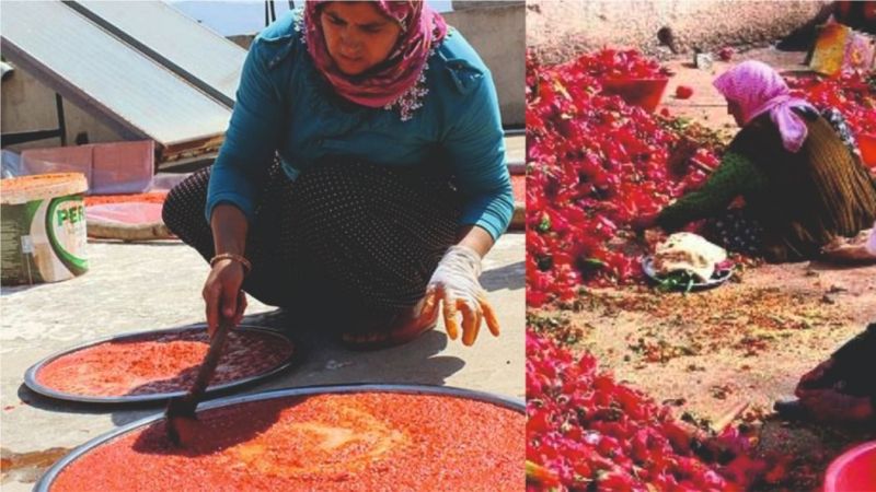 İsot Urfalıları kara kara düşündürüyor