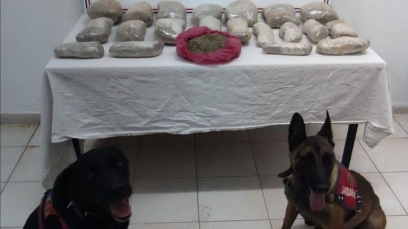 Jandarmadan uyuşturucu tacirlerine milyonluk darbe