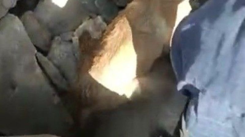 Urfa'da kayalıklara sıkışan köpek için seferber oldular