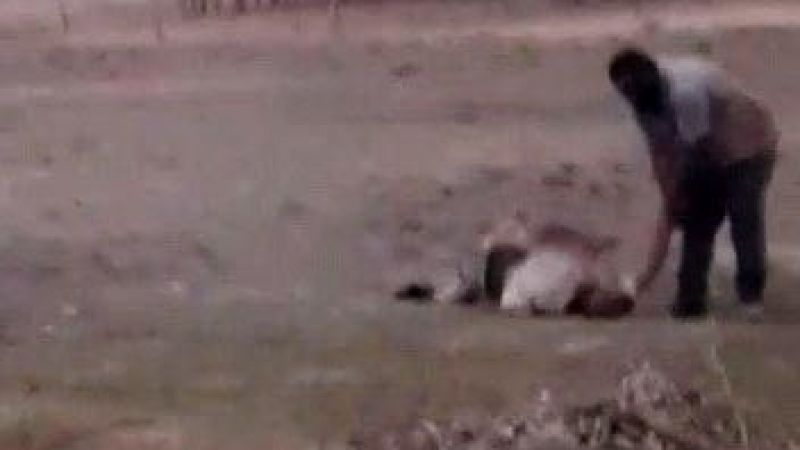 Şanlıurfa’da dehşete düşüren görüntü
