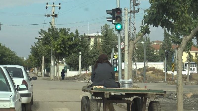 Örnek at arabacısı