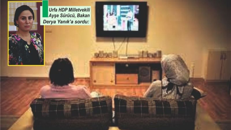 Urfa'da kaç Kadın Sığınma Evi var?