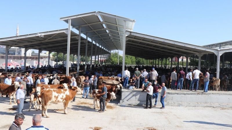 İki gün boyunca Hayvan Pazarı'nda satış sunuluyor olunacak