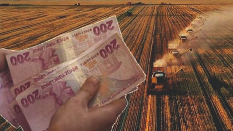Kırsal kalkınma hibe desteği başvuruları başladı!