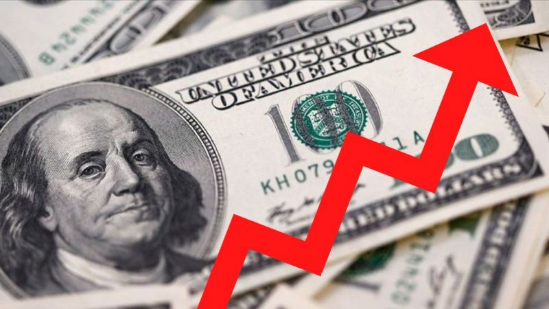 Dolar/TL 14'ü aşarak rekor kırdı