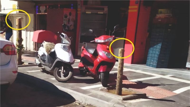 Bakalım bir daha bir ağaç kesiyor mu?