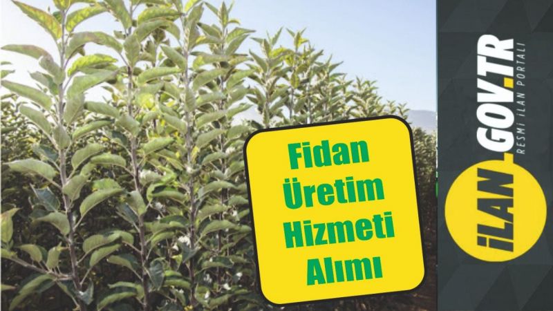 Fidan üretim hizmeti alınacak