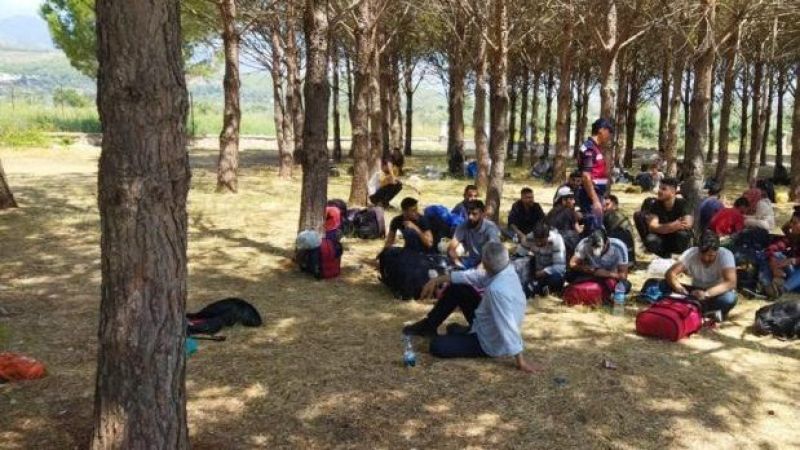 Urfa'daki kaçak göçmenler jandarmaya yakalandı