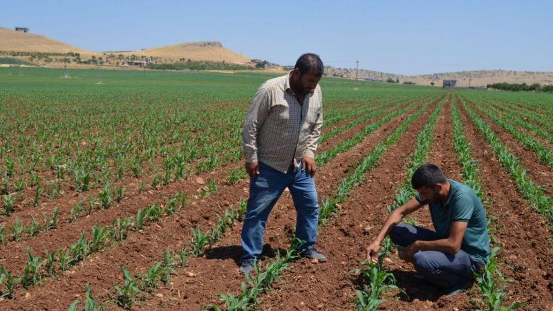Urfa'da DEDAŞ'a tepkiler dinmiyor!