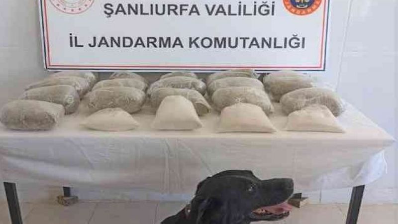 Urfa'da Jandarmadan zehir tacirlerine darbe