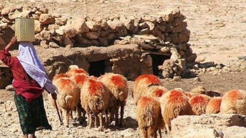 Baba mesleğini sürdürenler oldukça dertli