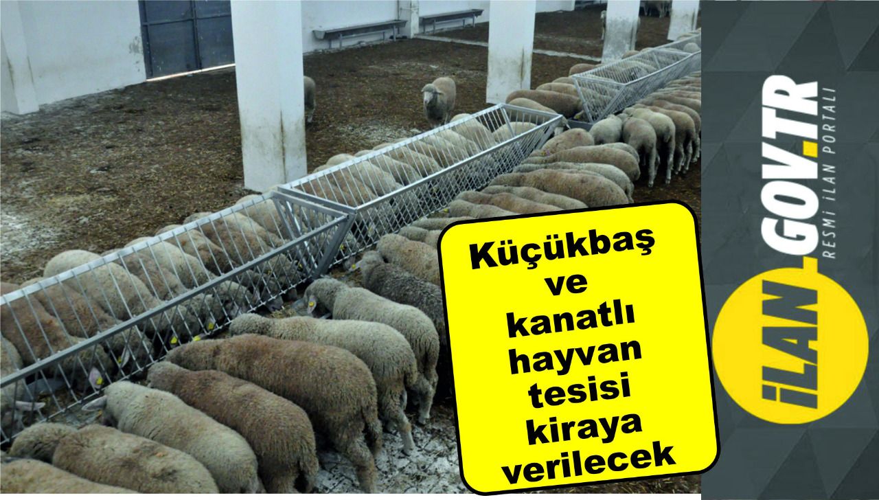 Küçükbaş ve kanatlı hayvan tesisi kiraya verilecek