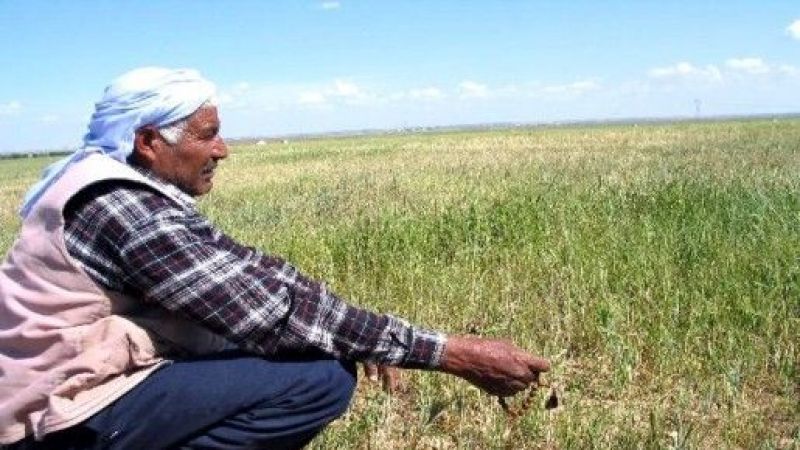 Urfa çiftçisinin yüzünü güldüren haber!