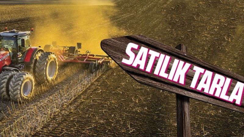 Mahkemeden satılık 963 m² tarla