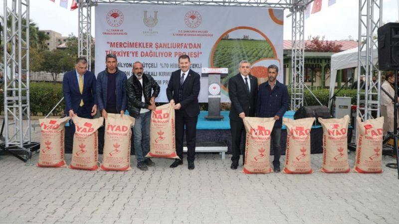 Hedef 400 bin ton mercimek