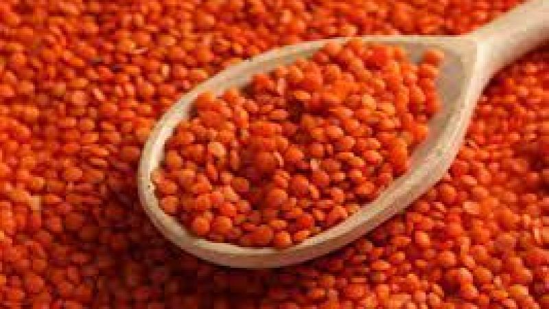 Kırmızı mercimek alım fiyatı güncellendi