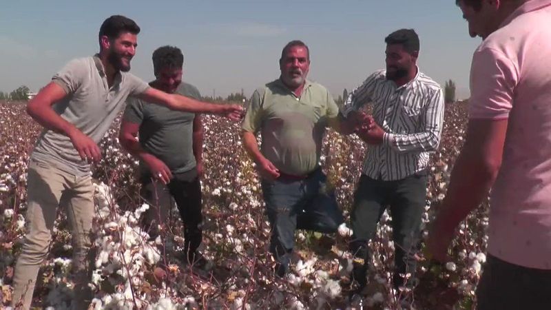 Pamuk fiyatı gündem olmaya devam ediyor