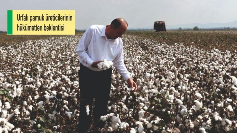 Urfa çiftçisinin gözü kulağı desteklemede