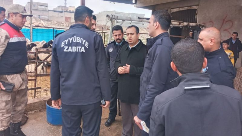 Urfa'da 'Kaçak kesim'e savaş açıldı