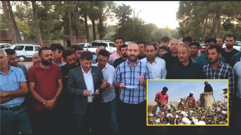 Urfa çiftçisi haho ediyor