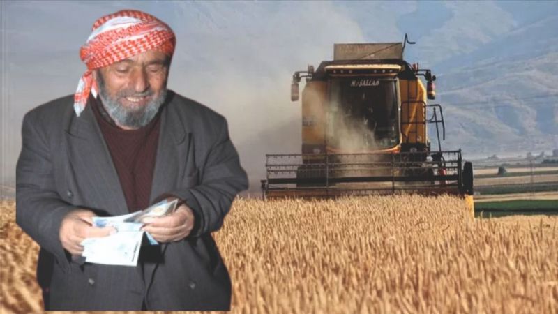 Urfa çiftçisine iyi haber! Beklenen destek erken başlatıldı