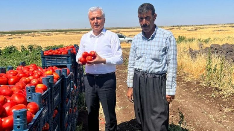 Eski vekile sert yanıt!