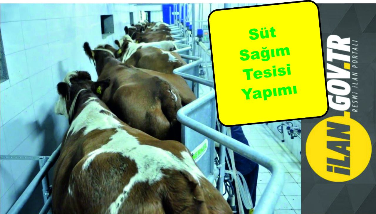 Büyükşehir Belediyesi süt sağım tesisi yaptıracak