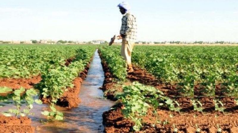 Sulamada Verimlilik Eylem Planı hazırlanıyor
