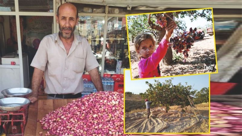 Fıstık tezgahının önünden geçilmiyor