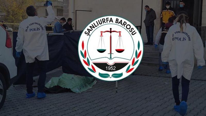 Urfa'da eşinin öldürdüğü kadın cinayetiyle ilgili flaş açıklama