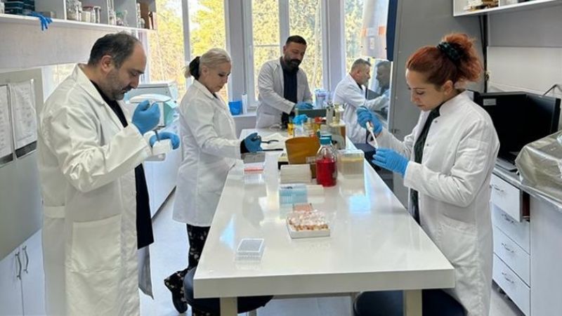 HRÜ'den 'Brucella'ya darbe vuracak çalışma
