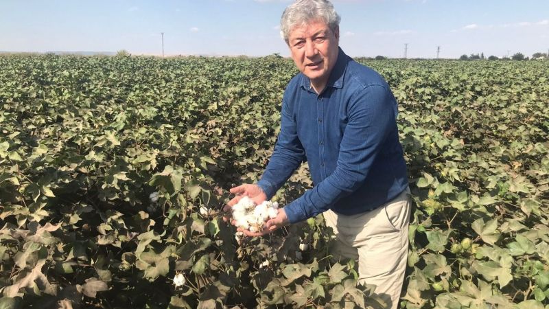 Pamuk üretim maliyeti açıklandı