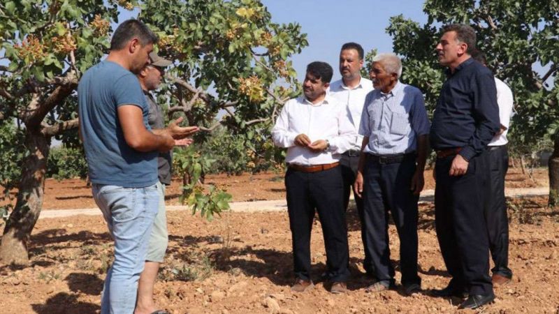 Urfa fıstığı hakkettiği değeri göremiyor