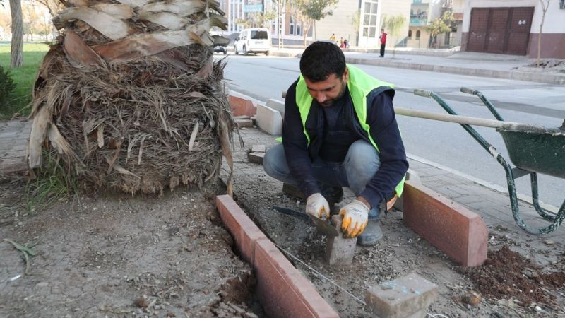 Kuş, yem yeşil Eyyübiye için durmadan çalışacağız